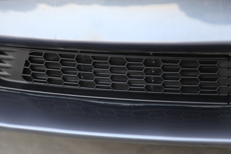Tesla Model 3 Front Lower Bumper Grille Insert – Tesrab